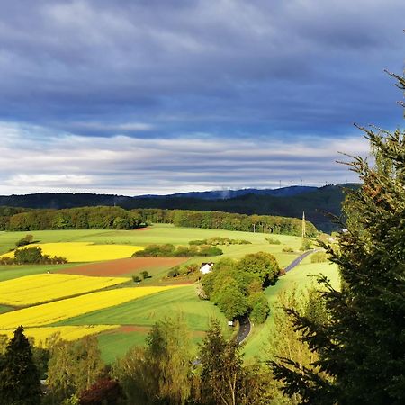 Geraeumige 2-Z Wohnung Im Gruenen, Garten, Terrasse, Ruhig, Natur, Phantastischer Blick! Marburg Bagian luar foto
