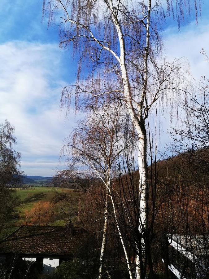 Geraeumige 2-Z Wohnung Im Gruenen, Garten, Terrasse, Ruhig, Natur, Phantastischer Blick! Marburg Bagian luar foto