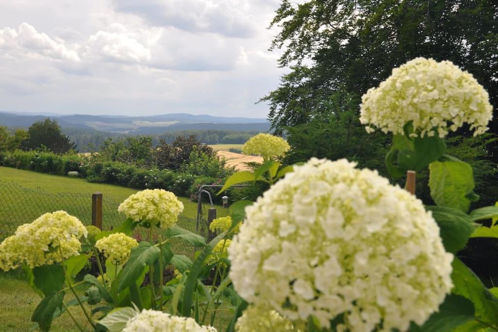 Geraeumige 2-Z Wohnung Im Gruenen, Garten, Terrasse, Ruhig, Natur, Phantastischer Blick! Marburg Bagian luar foto