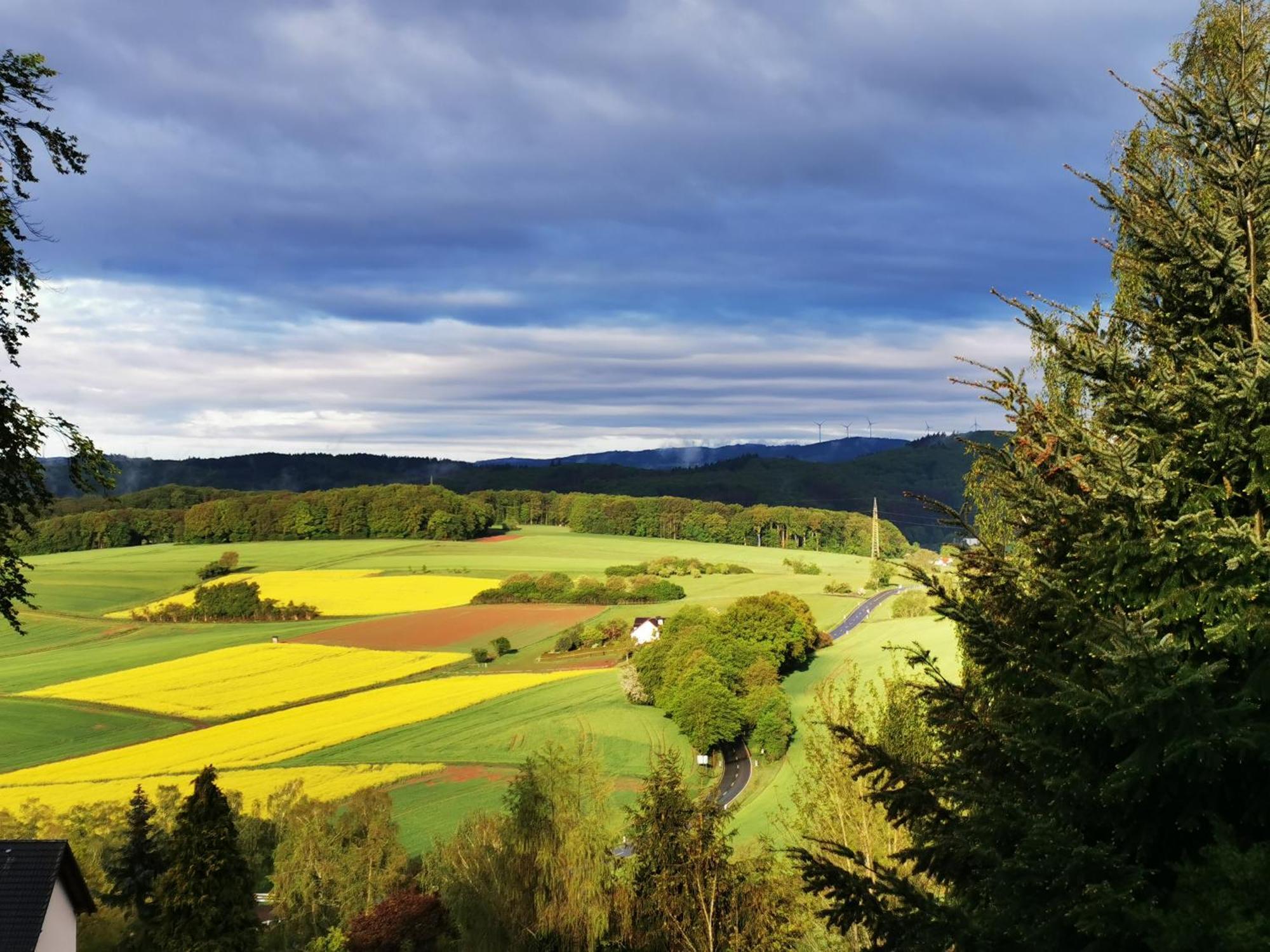Geraeumige 2-Z Wohnung Im Gruenen, Garten, Terrasse, Ruhig, Natur, Phantastischer Blick! Marburg Bagian luar foto