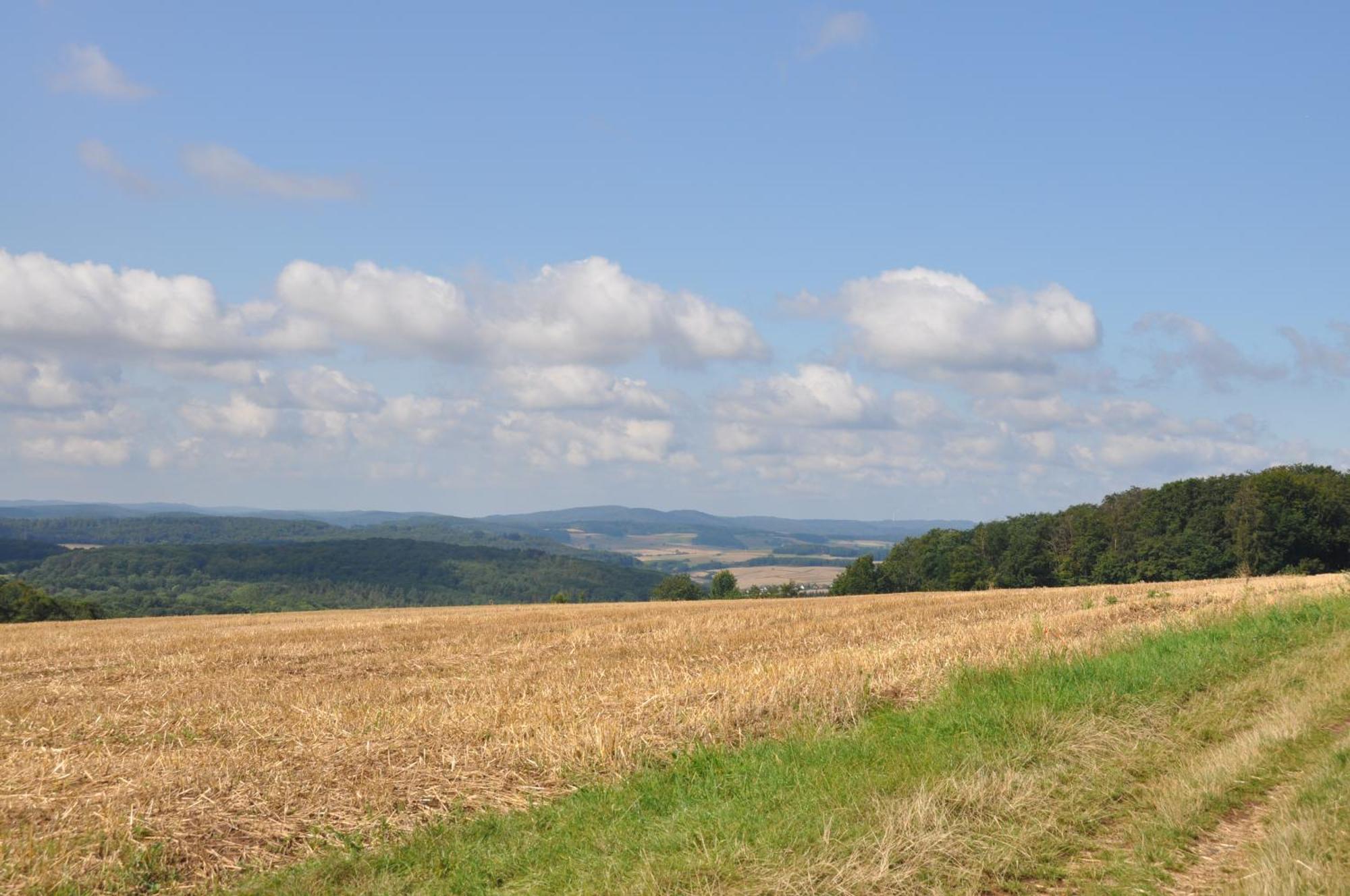 Geraeumige 2-Z Wohnung Im Gruenen, Garten, Terrasse, Ruhig, Natur, Phantastischer Blick! Marburg Bagian luar foto